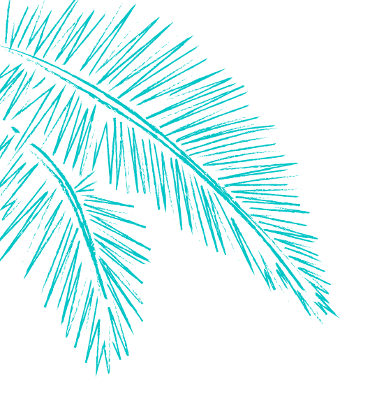 palm detail bahia del sol