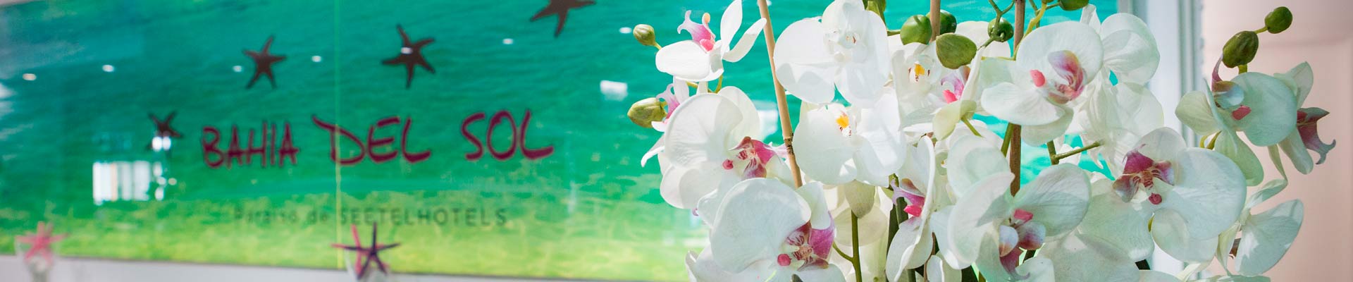 hotel bahia del sol santa ponsa mallorca